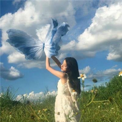 莫西干回到故乡